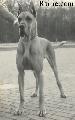 Ch Ares Von Furst Bismarck