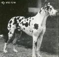 Furst Von Urbachriesen
