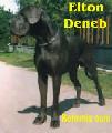 Elton Deneb