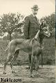 Falke Hansa