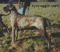 Viviane Von Der Shilo-ranch