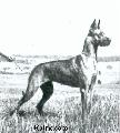 Thora Von Birkenhof