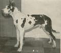 Nurmi Von Munchhausen