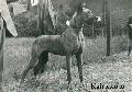 Kei Von Birkenhof