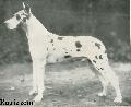 Caesar Obertraubling