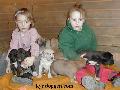 Vorischka Von Schlesien