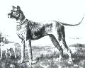Nero I