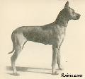 Ch Frigga Von Simbach