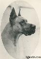Ch Remus Von Der Rheinschanze