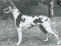 Xante Von Birkenhof