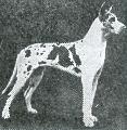 Ajax Von Klausenburg