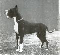 Junker Von Der Nurburg