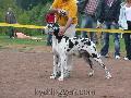 Ch Sandokan Dizel Domino