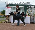Ank Des Geants Du Bocage