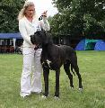 Charming Devil Of Austria Great Stars