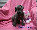 John Boy Von Blue Ground