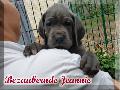 Bezaubernde Jeannie Von Blue Ebony