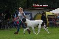 Ch Lord vun den Schmussidogs