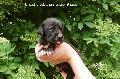 APMA2016060508 Vom Waldfrieden
