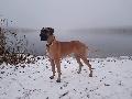 Kathy vom ALTRANDSTDTER Schlo