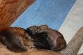 LEDO2025052603 vom Hause Rawert