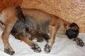 LEDO2025052604 vom Hause Rawert