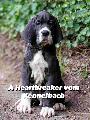 A Heartbreaker vom Kennelbach