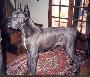Nina Des Landes Du Chatenet