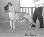 Ch Inchalla Des Terres De La Rairie