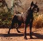 Ch Lother Des Terres De La Rairie