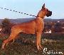 Ch Perlane Des Terres De La Rairie