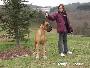 Ragazza Des Terres De La Rairie
