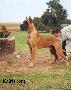 Rairy Des Terres De La Rairie