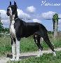 Ramar Des Terres De La Rairie