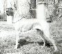 Olympia Odyla Pacifik