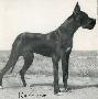 Bandit Von Furst Bismarck