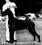Rachels Ravon Pal Von Willowrun