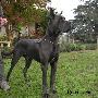 Ch Socrate Des Terres De La Rairie