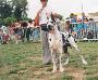 Ch Iearling Des Terres De La Rairie