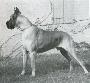 Cesar De Heurte-feuille