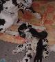 Opra2002021701 De Beauderey