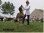 Ch Ratina Des Terres De La Rairie