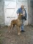Ch Ratina Des Terres De La Rairie