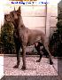 Great King Von Der Lifthrasir
