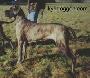 Viviane Von Der Shilo-ranch