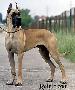 Ch Titan Des Terres De La Rairie