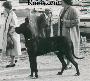 Ch Favorit Von Ulmer Munster