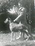 Fauna Von Der Saarhuttenstadt