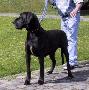 Lou Von Der Schlehhecke