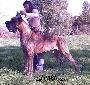 Ch Royal De La Benjamine